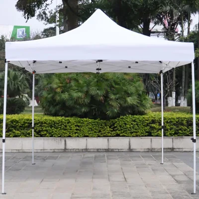 10X10 Canopy Tent Automatic Event Tent Custom Tent Outdoor Gazebo