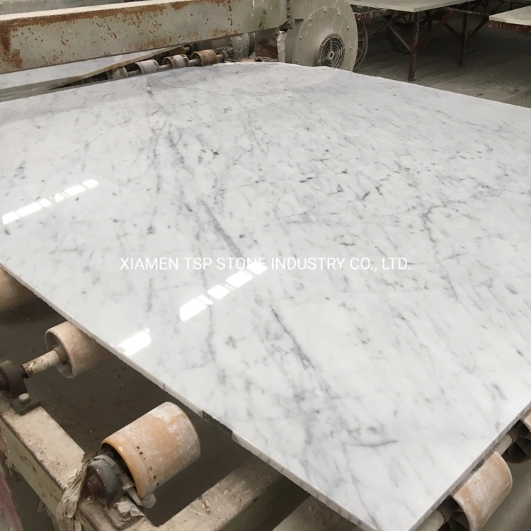Selected Bianco Carrara White Marble Slab for Flooring/Floor/Bathroom Tile